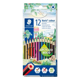 Etui de 12 crayons de couleur Staedtler mine 2mm